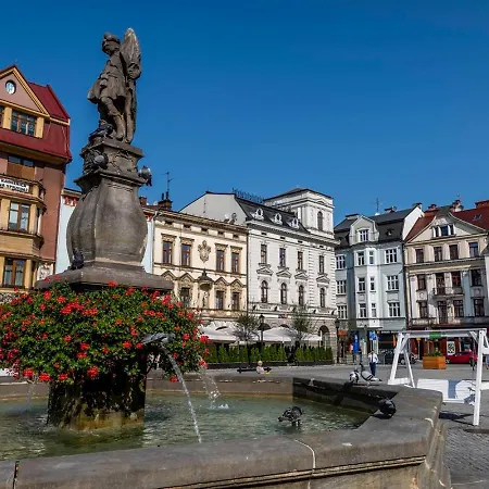 Cieszynski Boutique & Stare 3* チェシン