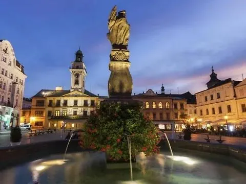 Cieszynski Boutique & Stare 호텔