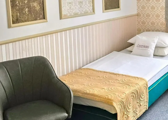 Cieszynski Boutique & Stare 3* 치에신