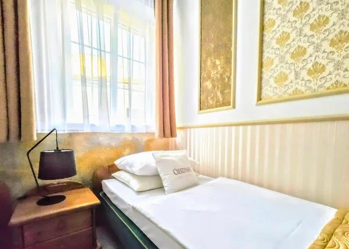 호텔 Cieszynski Boutique & Stare 치에신