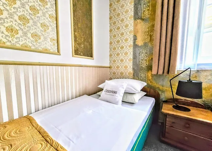 호텔 Cieszynski Boutique & Stare 치에신