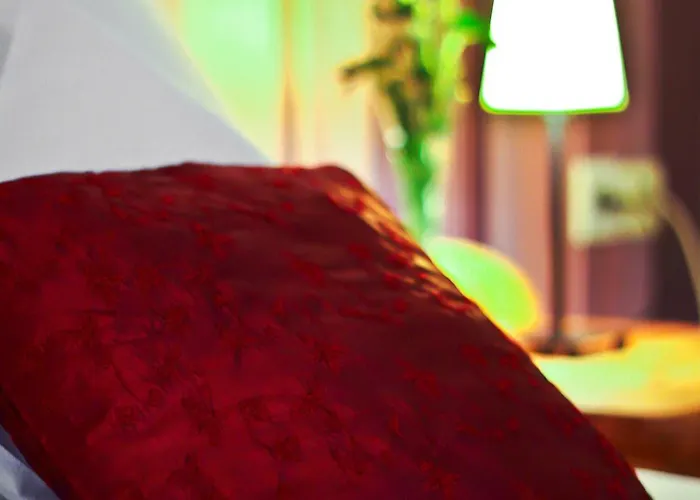 호텔 Cieszynski Boutique & Stare 치에신