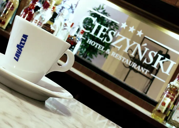 호텔 Cieszynski Boutique & Stare 치에신